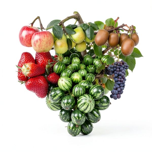 Acogedor Fruit Hardness Tester for Apples Pears Grapes-3